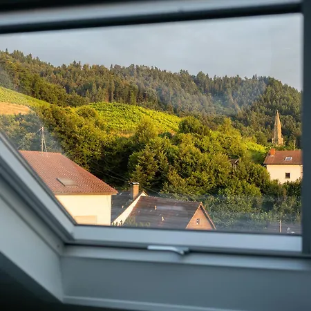 아파트 Happy Hugle Haus 오펜부르크