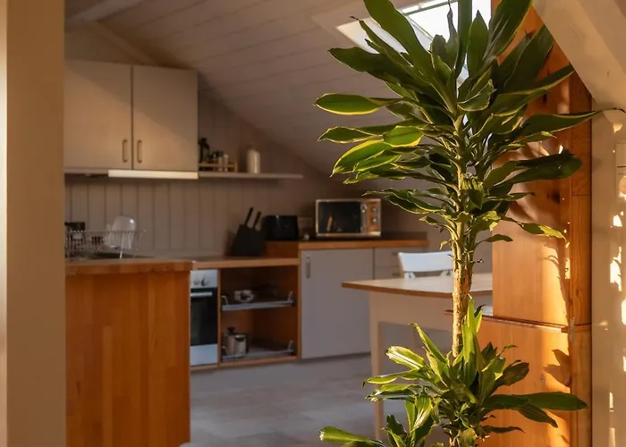 Appartement Happy Hugle Haus *